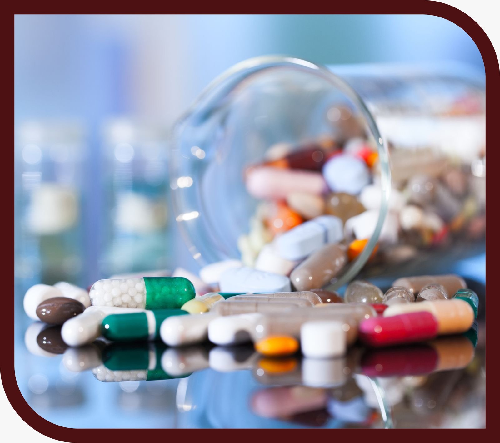 WhatsApp Image 2024-10-09 at 20.11.33_ee991e9a